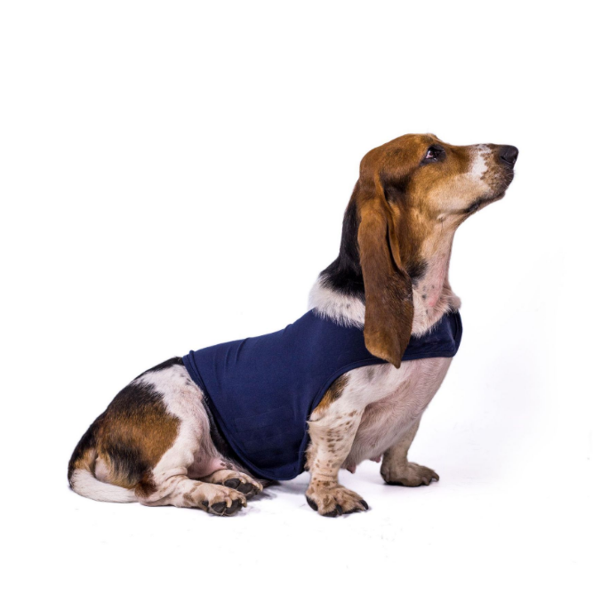 Dog Anxiety Vest (Thunder Shirt)