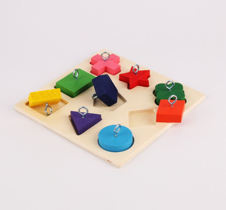 Educational Interactive Parrot Wooden Training Block Puzzle