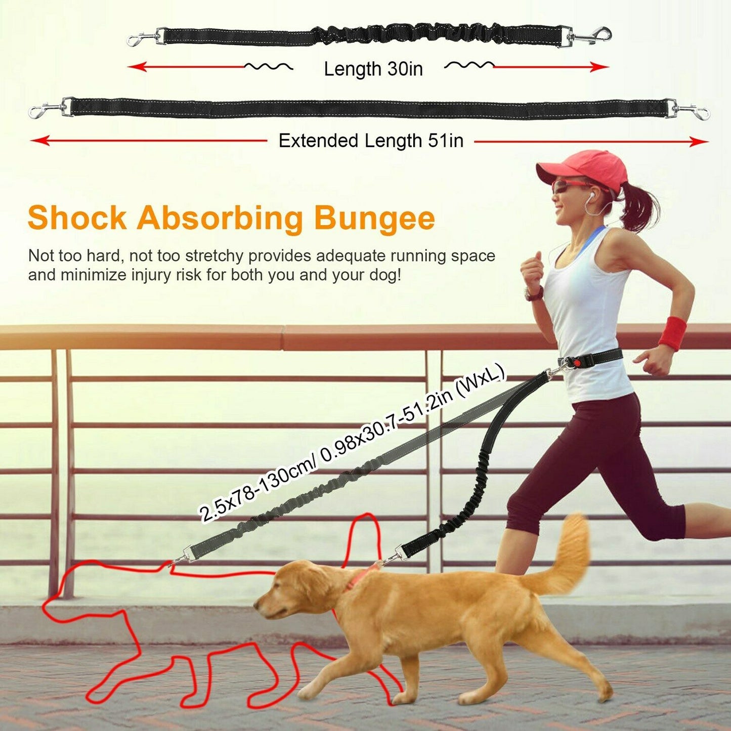 Adjustable Hand Free Dog Leash for Dog Walking, Running,  & Jogging Lead Waist Belt Strap